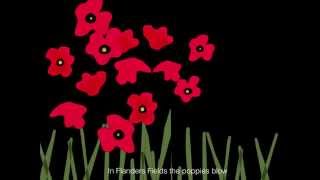 In Flanders Fields Animation [upl. by Verger618]