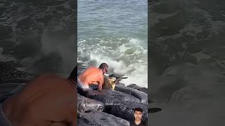 Man Save A Turtle Stuck In Rocks🤗 [upl. by Edmon400]