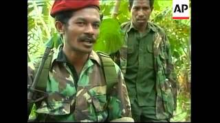 EAST TIMOR REBELS LOOK FORWARD TO INDEPENDENCE REFERENDUM [upl. by Nader]