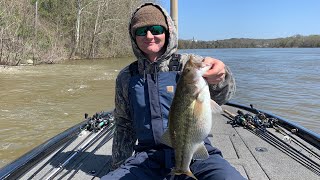 Lay Lake Bass Fishing March 2021 [upl. by Bilbe641]