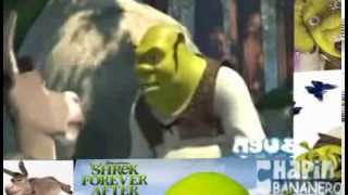 SHREK BANANERO [upl. by Vincenty]