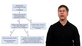 An Approach to Jaundice [upl. by Fenton]