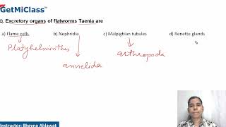 Flatworms taenia [upl. by Kreindler3]