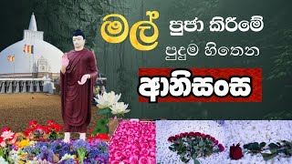 මල් පුජාවේ ආනිසංස 🙏🌼 Mal puja kirime anisansa  Buddhism  Ruwix s media [upl. by Cohlier532]