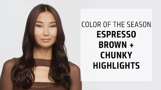 Espresso Brown Hair  Chunky Highlights  Goldwell Color of the Season  Goldwell Education Plus [upl. by Ennoryt239]