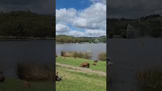 El Dique Tandil ¿Lo conoces😍 tandil buenosaires sierras [upl. by Etteiram305]