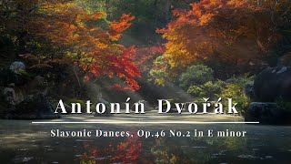 Antonín Dvořák  Slavonic Dances Op46 No2 in E minor [upl. by Dawes544]