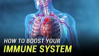 How to Boost Your Immune System [upl. by Whitehurst]