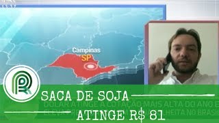 Soja atinge maior valor em um ano R 81 a saca [upl. by Helbonia]