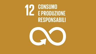 Agenda 2030 Obiettivo 12 Consumo e produzione responsabili [upl. by Sydel]