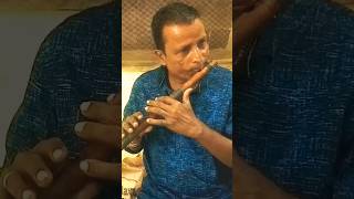 Bansuri flute musicshorts ytshortshortsvideo [upl. by Lawley]