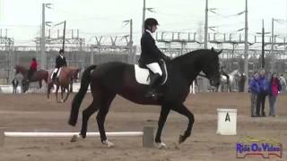 Beginner Novice Dressage Test [upl. by Annavaj]