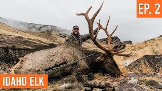 HUGE Bull On PUBLIC LAND  Idaho Elk EP 2 [upl. by Barcellona]