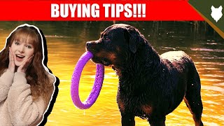 Think About This Before You Buy A ROTTWEILER [upl. by Llertal]