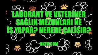 Laborant ve Veteriner Sağlık Mezunları Ne İş Yapar Nerede Çalışır [upl. by Ellessig]