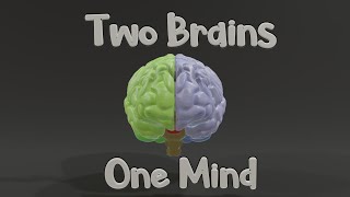 Why Do We Have Two Brains [upl. by Maguire]