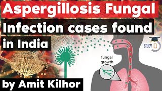 Aspergillosis Fungal Infection cases found in India  Deadlier than Black White amp Yellow fungus [upl. by Assiruam]