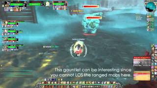 Tidy Plates Threat Plates Demo Saras Pally Tank PoV [upl. by Tarrance]