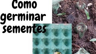 Como Germinar Sementes Sem Gastar Com Sementeiras Plantei Pimentão [upl. by Ingeberg]