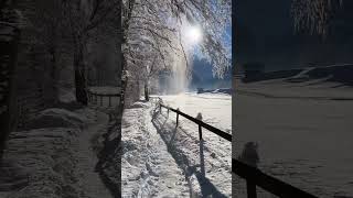 A Snowy Day in Lauterbrunnen [upl. by Skcirdnek]