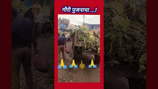 कचरा गौरी पुजनाचा  kachara gauree pujanacha  shorts virlshort videoshort [upl. by Bernadette]