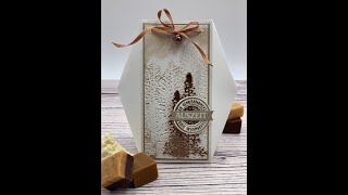 Videotutorial weihnachtliche Facettenboxgebastelt mit den wunderschönen Produkten von Stampin Up [upl. by Tierza]