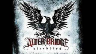 Alter Bridge  Blackbird [upl. by Ueihtam]