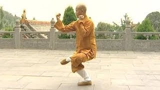 Shaolin Kung Fu Combat Styles 15 small Buddha form 小罗汉拳 xiao luohan quan [upl. by Eniamrahs]