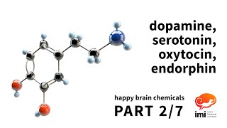 Dopamine Serotonin Oxytocin Endorphin 2 of 7  Happy Brain Chemicals [upl. by Eenhpad215]