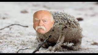 Angry Frog Wilford Brimley Diabeetus [upl. by Neddie]