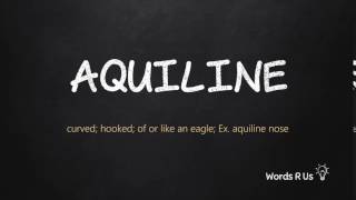 How to Pronounce AQUILINE in American English [upl. by Annazus]