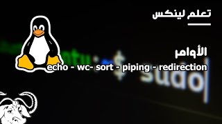 تعلم لينكس  الأوامر echo  wc  sort  piping  redirection [upl. by Rooker]