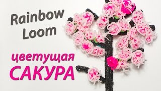 Цветущая Сакура японская вишня из Rainbow Loom Bands Урок 59 [upl. by Ynottirb818]