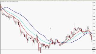 FOREX the Alligator Indicator [upl. by Tessler]