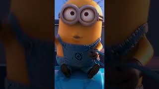 These minions dont give up  Despicable Me 2 [upl. by Fredric471]