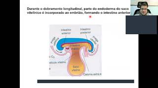 Aula 4 PARTE 5  Revisão de gastrulação neurulação somitogênese e fechamento do embrião [upl. by Vernice]