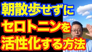 日光に当たれない人のセロトニン活性法【精神科医・樺沢紫苑】 [upl. by Taggart]