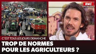 Arnaud Demanche  Trop de normes pour les agriculteurs [upl. by Ennaitak]