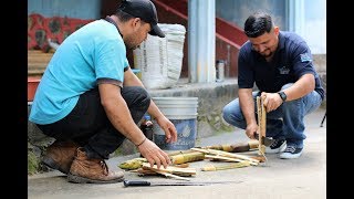 EXTRACCIÓN DE HORMONAS DE BAMBÚ Y CANAVALIA PARA ELABORAR BIOESTIMULANTES [upl. by Naig]