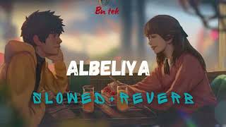 Albeliya SLOWEDREVERB slowedreverbbhajans [upl. by Adnamra]