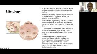 Pituitary Adenomas Surgical anatomy pathophysiology evaluation and treatment [upl. by Flory]