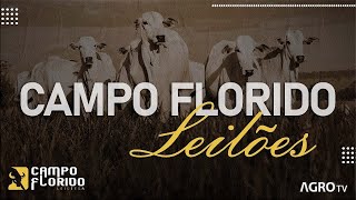 CAMPO FLORIDO LEILÕES AO VIVO  CAMPO FLORIDO MG [upl. by Zechariah]