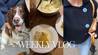 Jai Fini mes Études Décoration et Shopping pour la Maison  Weekly Vlog [upl. by Akemad]