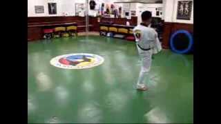 Master Jung  Red Belt Form Tae Geuk Chil Jang 태극 7 장 [upl. by Juliet]