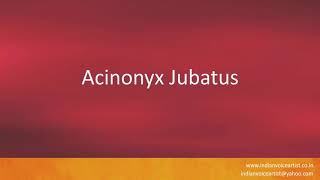 How to pronounce quotAcinonyx Jubatusquot [upl. by Silas]