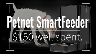 Petnet SmartFeeder The Best Use Of 150 If you have a pet [upl. by Ninnette]