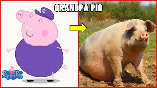 How Peppa Pig Characters Looks In Real Life 2024 🐷 [upl. by Ayhdnas]