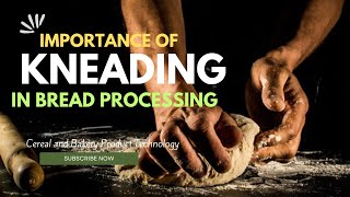 Role of Kneading in Bread Making [upl. by Marva]