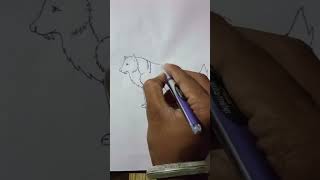 How To Draw A Wolf Drawing Easy art drawing 🐺 [upl. by Rosenblast]