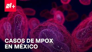 Mpox en México ¿Cuántos nuevos casos se han reportado  Despierta [upl. by Aronow613]